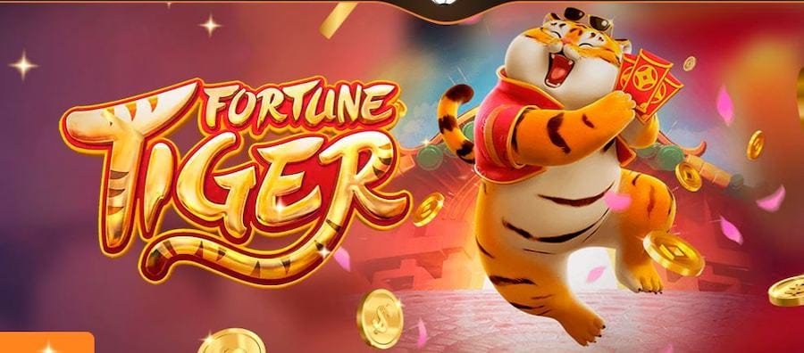 jill777 Live Casino